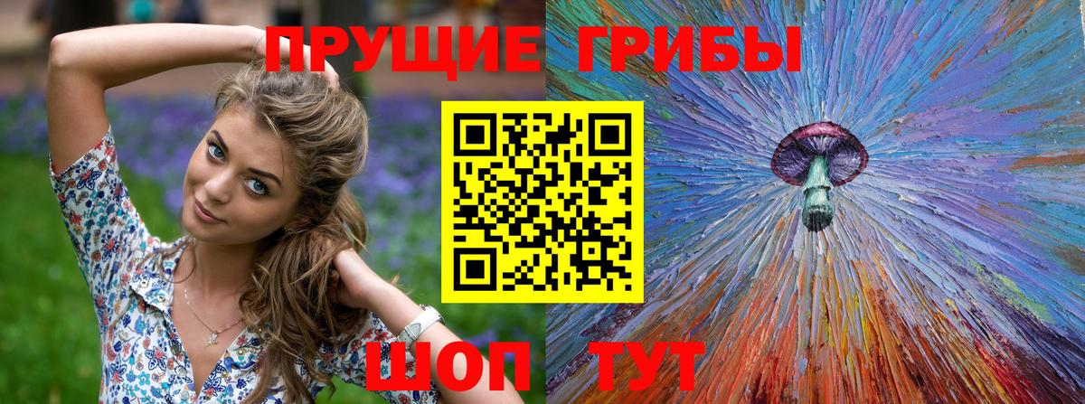 Псилоцибиновые грибы мицелий Всеволожск